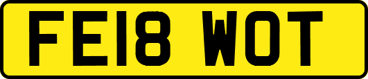 FE18WOT