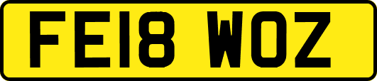 FE18WOZ