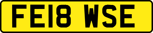 FE18WSE