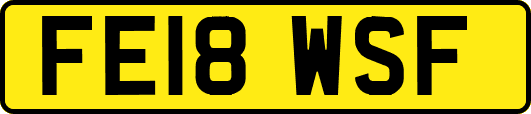 FE18WSF