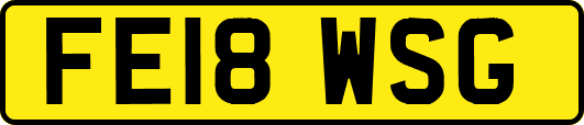 FE18WSG