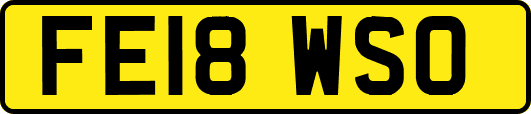 FE18WSO