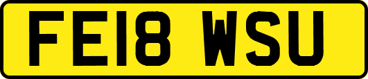 FE18WSU