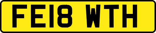 FE18WTH