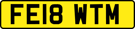 FE18WTM