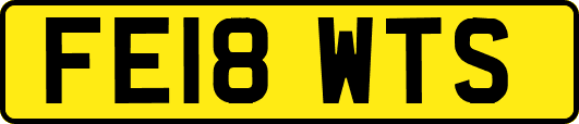 FE18WTS