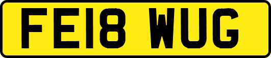 FE18WUG