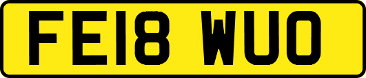 FE18WUO