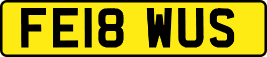 FE18WUS