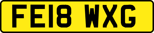 FE18WXG