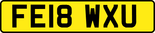 FE18WXU
