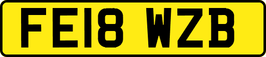 FE18WZB