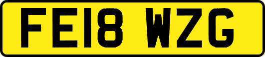 FE18WZG