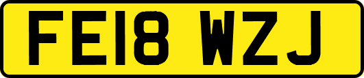 FE18WZJ