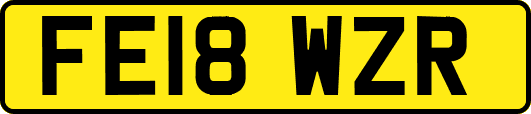 FE18WZR