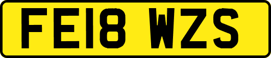 FE18WZS