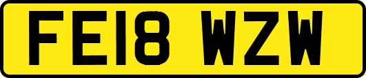 FE18WZW