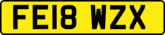 FE18WZX