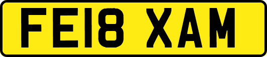 FE18XAM