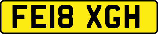 FE18XGH