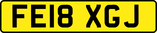 FE18XGJ