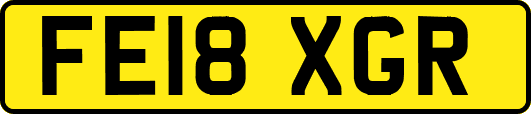 FE18XGR
