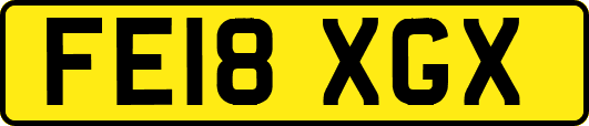 FE18XGX