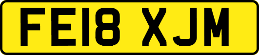 FE18XJM