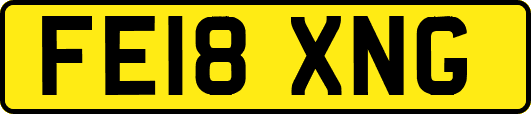 FE18XNG