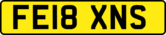 FE18XNS