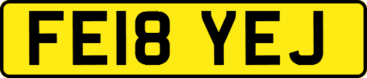 FE18YEJ