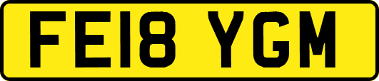 FE18YGM