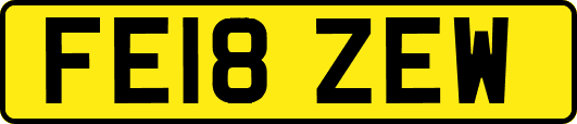 FE18ZEW