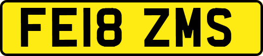 FE18ZMS