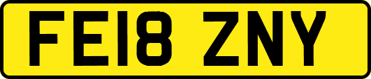 FE18ZNY