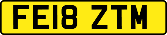 FE18ZTM