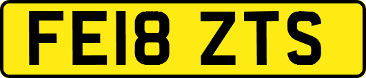 FE18ZTS