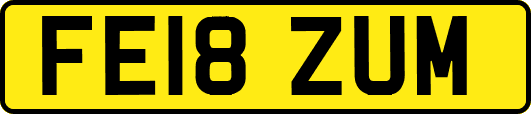 FE18ZUM
