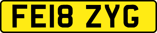 FE18ZYG