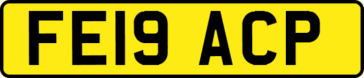 FE19ACP