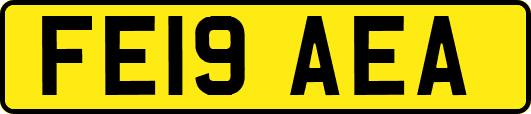 FE19AEA