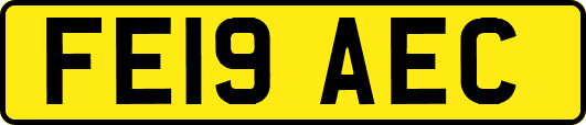 FE19AEC