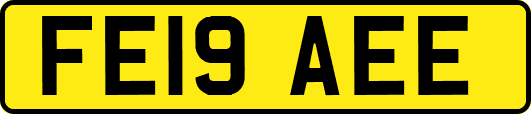 FE19AEE