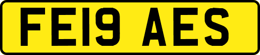 FE19AES