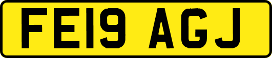 FE19AGJ