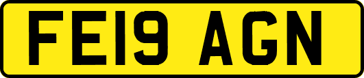 FE19AGN