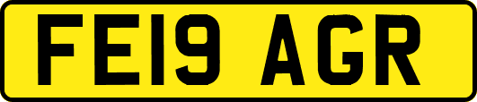 FE19AGR