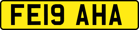 FE19AHA