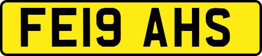 FE19AHS