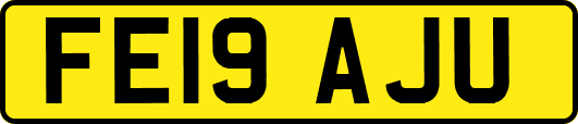 FE19AJU